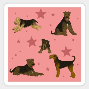 Airedale Terriers Pattern Stars Pink Sticker